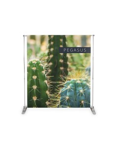 BANNER PEGASUS 2435X2410MM (UB165-S)